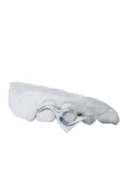 Vampire Grillz - Laramz x Dimapeletsky