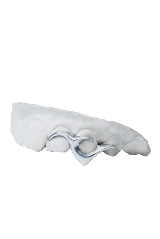 Vampire Grillz - Laramz x Dimapeletsky